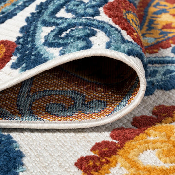 Julien Paisley High-low Indoor/outdoor Area Rug